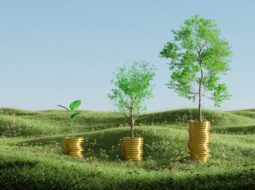 impact investing